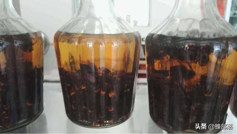 入侵美国的物种,成功入侵美国的三种昆虫