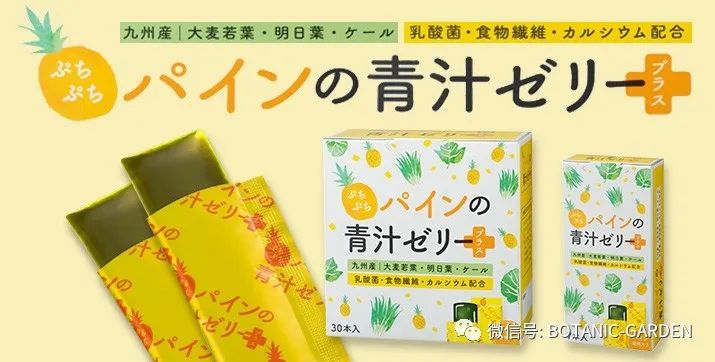 A-Z理研理化研究所简介