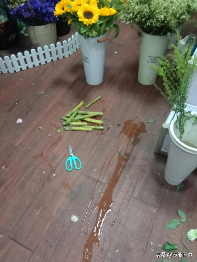 向日葵闻起来怎么样,向日葵闻起来为什么是臭的