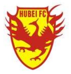 中国足球2009,湖北足球播报