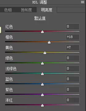 如何拍出原始森林的感觉,怎样拍出森林氛围感大片