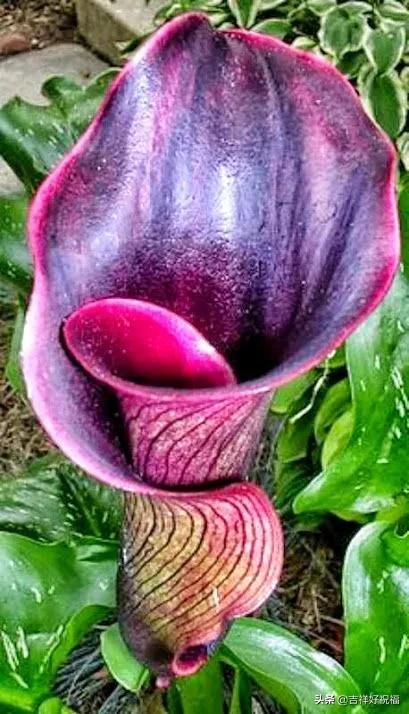 送给群友的美图,最新群相册大全