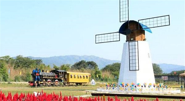 温州暑假去哪玩推荐好地方,温州暑假亲子游