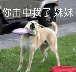 剑网3情缘语录,剑网三情缘语录