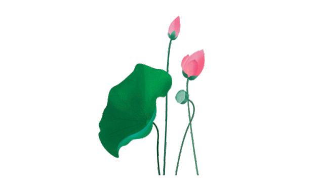 武汉的夏日记忆,非常适合夏天吃的冰爽流心绿豆糕