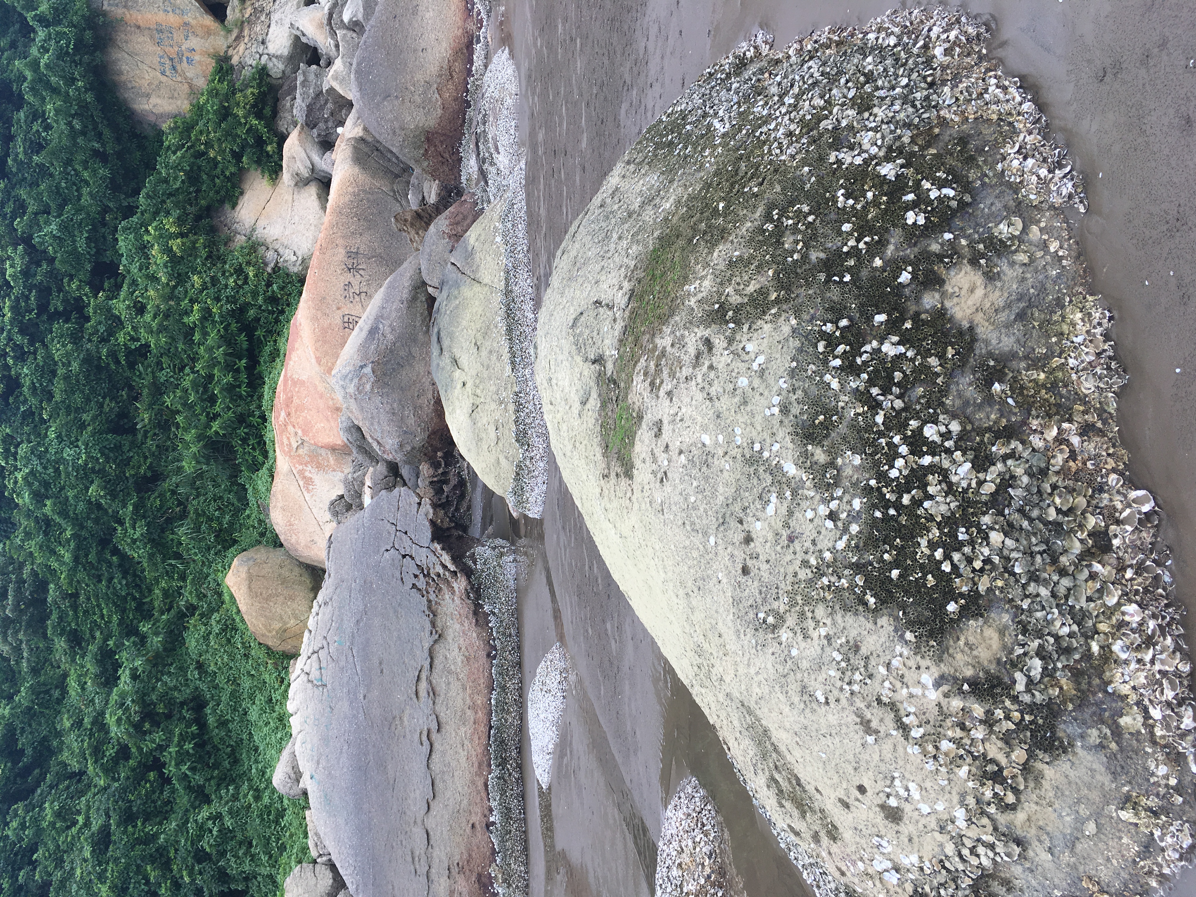 深圳沙滩还是珠海沙滩好一点,珠海阳光沙滩免费吗