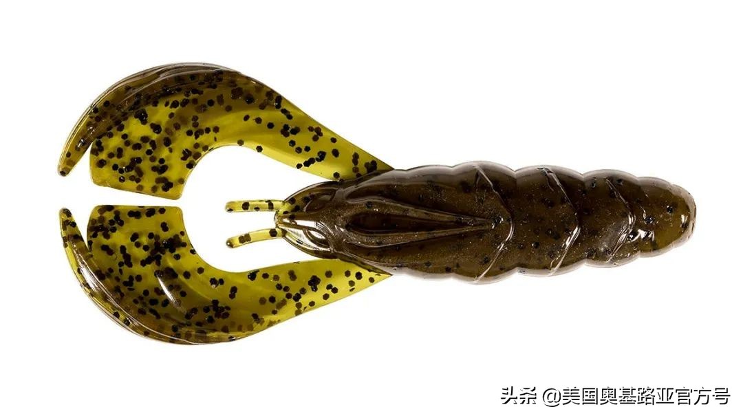 2021年春季渔具展会,2021昆明渔具展时间表