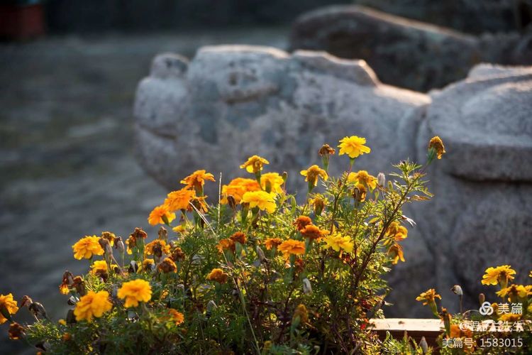 你所不知道的辽宁,你所不知道的美