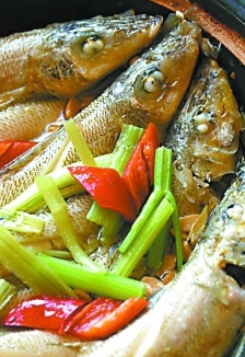 家乡的鱼味道好极了,湖北野生刀鳅鱼