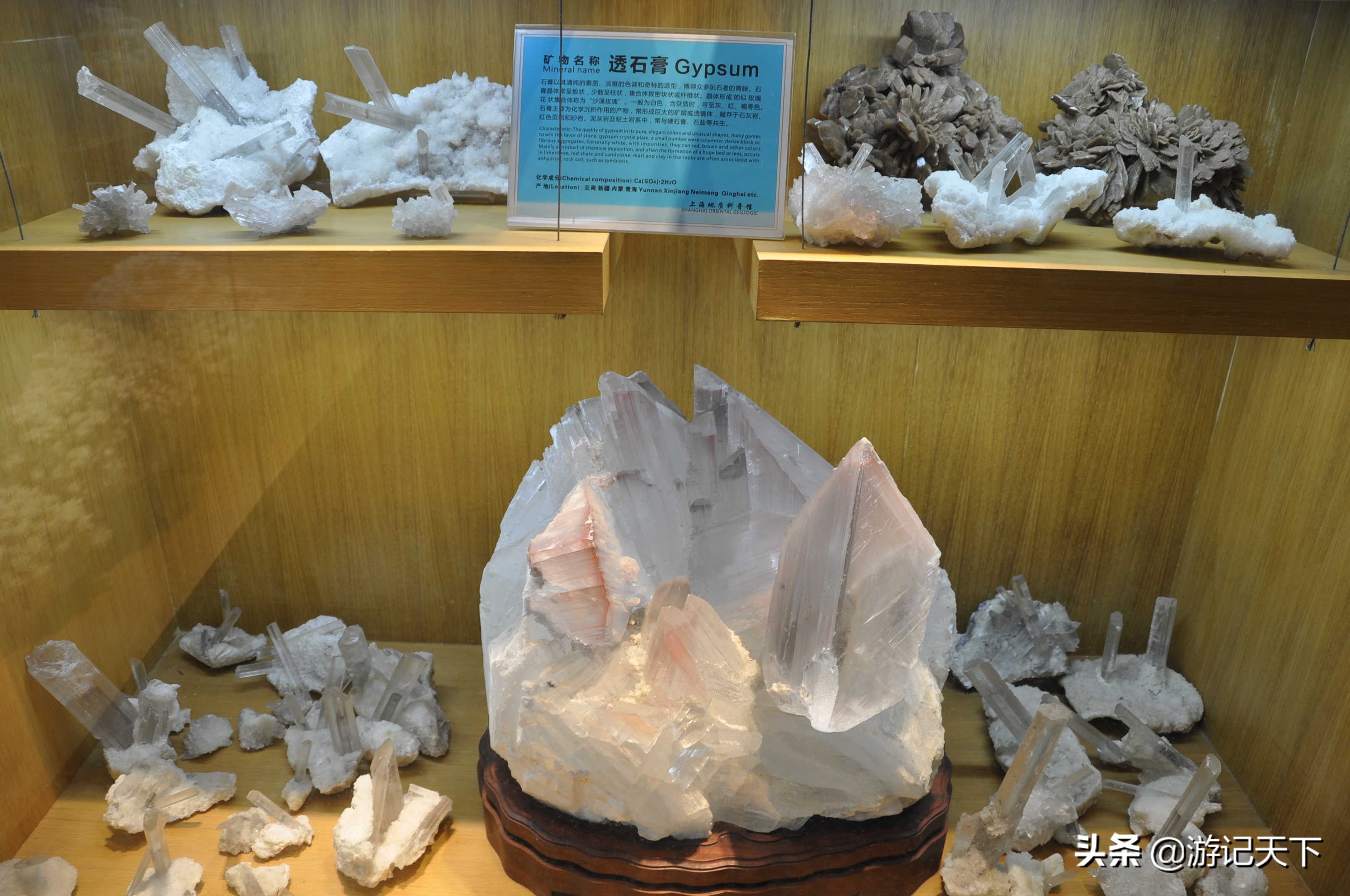 参观上海东方地质科普馆,上海东方地质科普馆需要预约吗