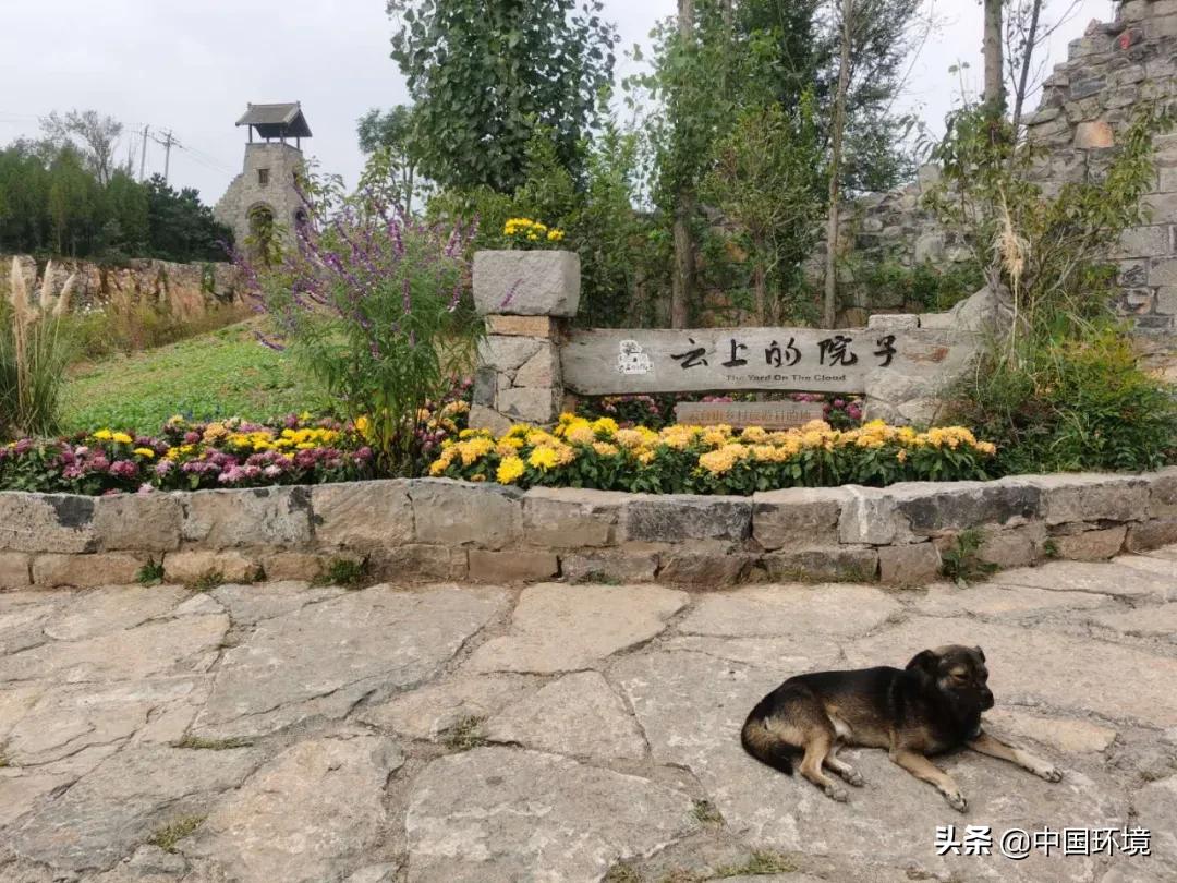 县域经济找准定位,县域经济高质量发展两大抓手