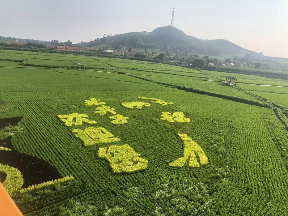 丹东沿海干净小岛旅游攻略,丹东旅游特色美食攻略图