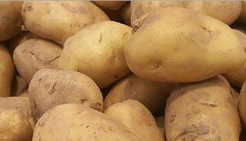 宁夏十大特产带货,宁夏十大特产美食