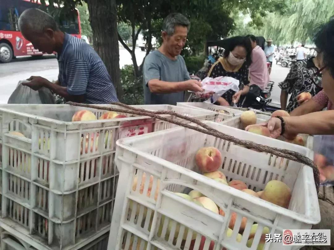 遂平县各大农贸菜市场,图说遂平清晨的菜市场