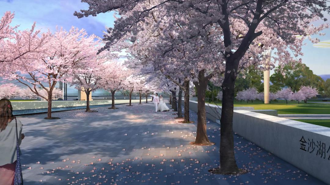 钱塘新区的东湖与金沙湖比较,钱塘区金沙湖规划