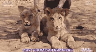 9.4分韩国催泪电视剧,韩国十部9.5评分催泪电影