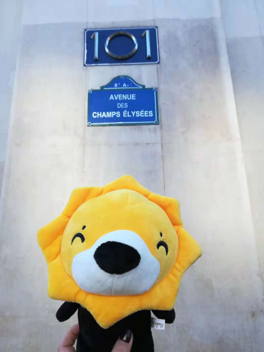 黑五期间畅游世界？这只苏宁国际的小狮子买手做到了