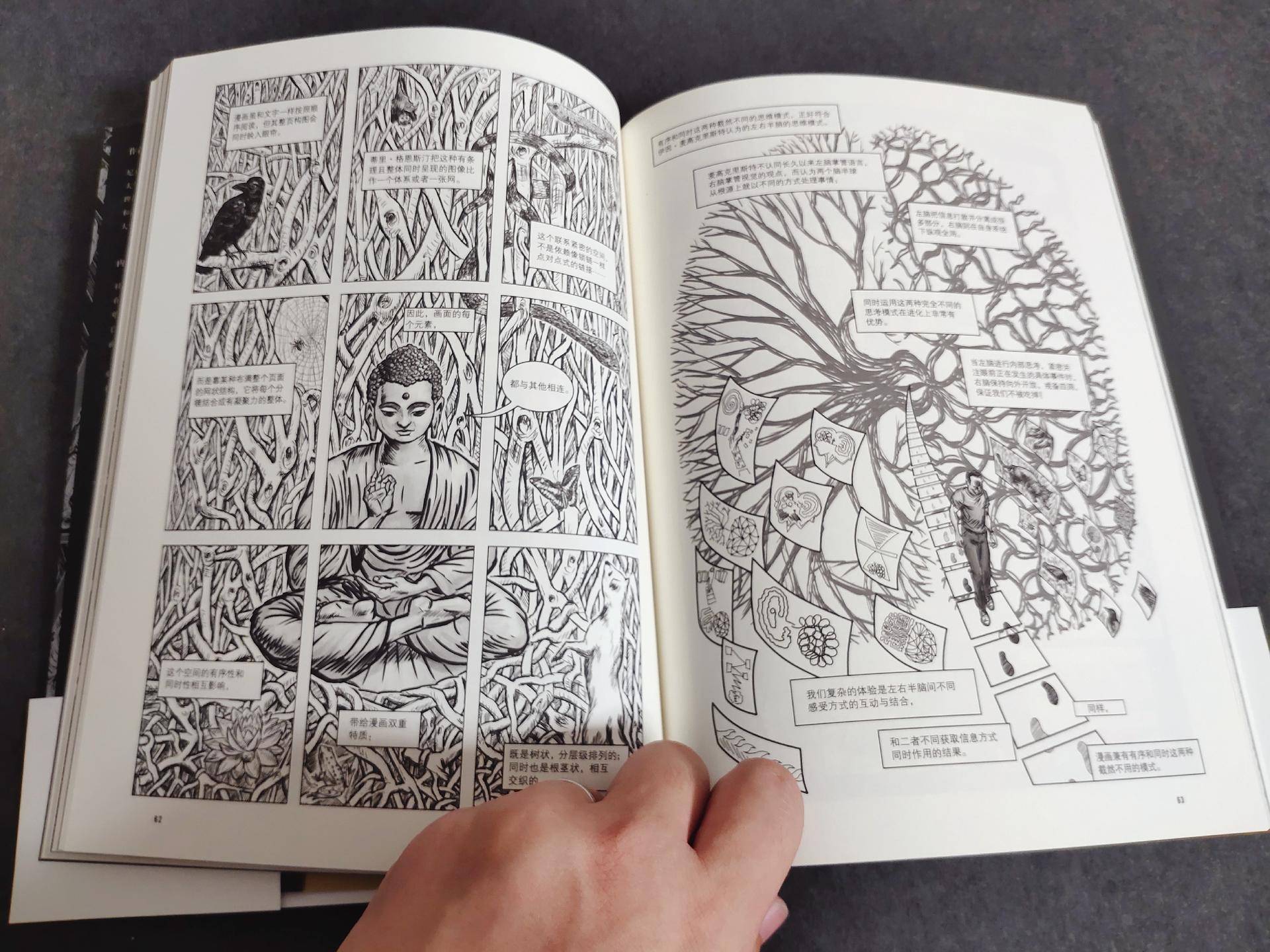 适合陪小孩一起看的书,适合孩子读的童书