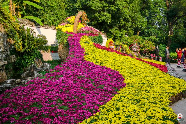 福州菊花展21年还有吗,福州西湖菊花展人山人海