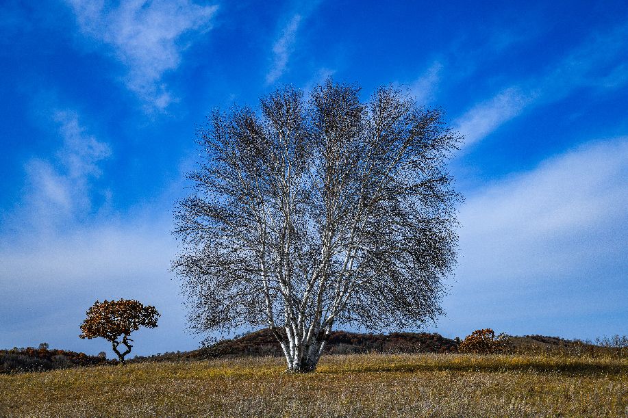 周洪涛上海,上海周洪涛摄影