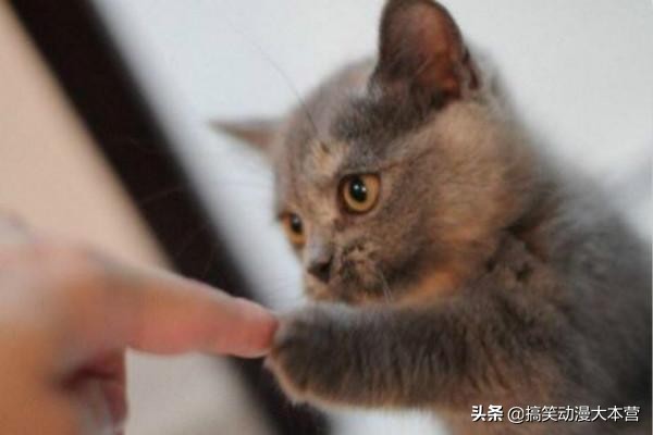 开心一刻：我只是做错了一件事，被老婆罚跪遥控器，还不允许换台