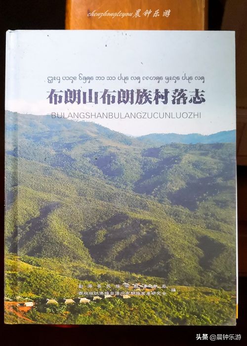 布朗弹唱情歌对唱,布朗弹唱