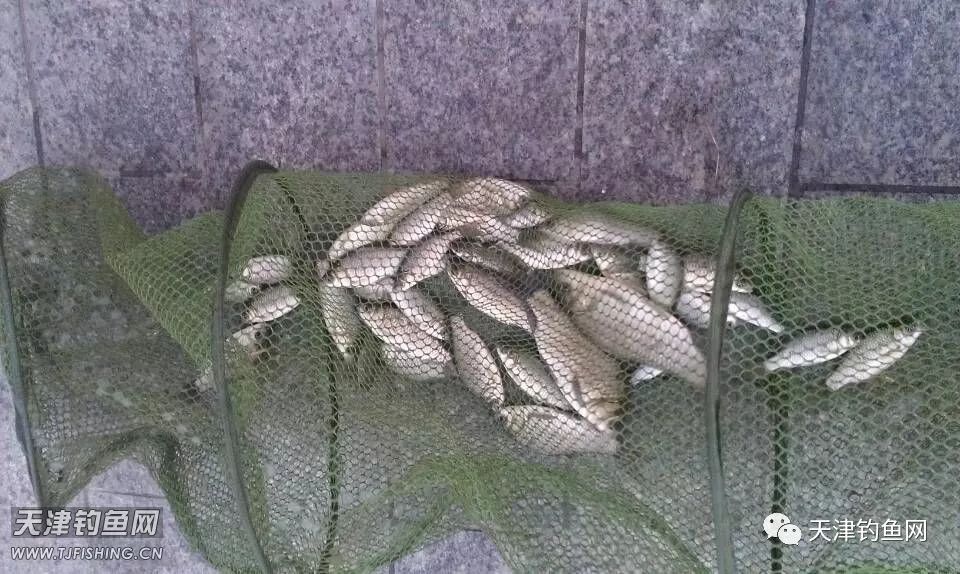 津南大学城，还是原来的地方，还是原来的味道