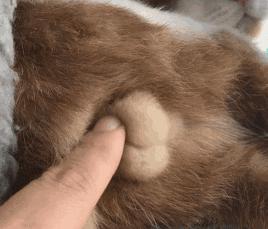 男生请进,我要问你们一个非常羞耻的问题