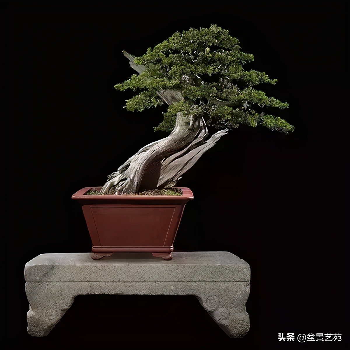 西泠印社砚台最高价拍卖记录,杭州西泠拍卖盆景