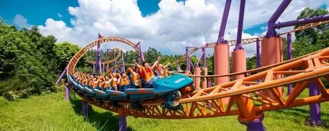 广州长隆野生动物世界附近的酒店,广州长隆酒店福利待遇