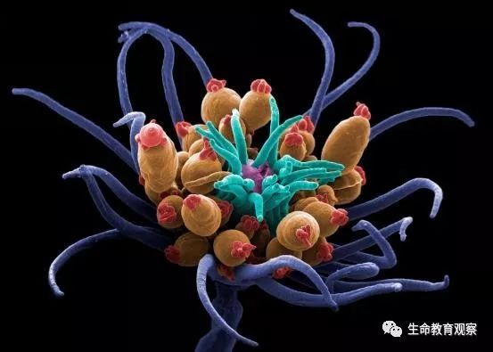 看完后，整个人都有点不对劲了（传播生物知识）