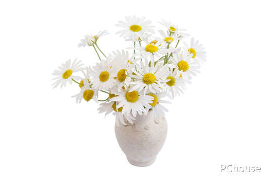 什么是家居饰品家居艺术装饰品推荐