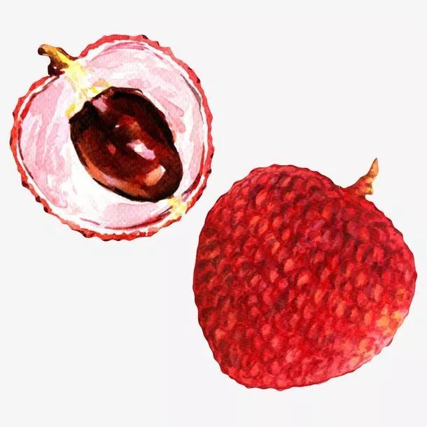 荔枝来了,荔枝来了视频完整版