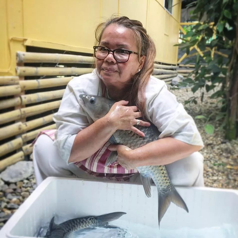 世界十大凶猛淡水鱼类,顶级淡水鱼类