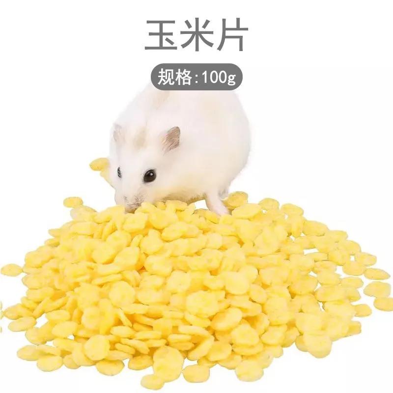 穷人学生党怎么养仓鼠,学生党养仓鼠怎么最省钱