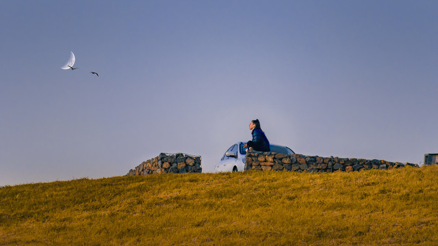 过分的心软才会活的很累,过于心软是病