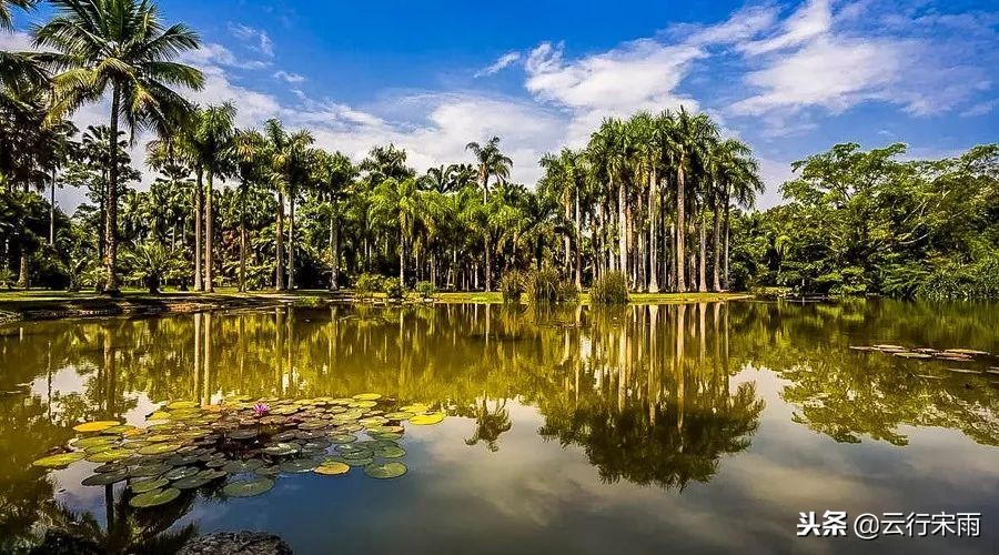 八天七夜云南旅游,八天七夜旅游云南