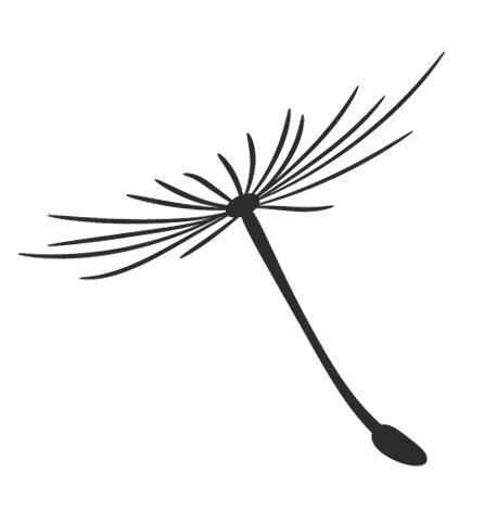 龚曙光,龚曙光阅读视频