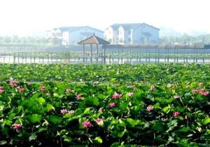 河北省沧州市是一个怎样的城市,中国城市路网