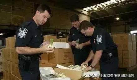 货被海关没收了如何要回,国内海关扣押货物处理流程