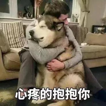 女生背lv三合一包包,女生背的包包没有背带好看吗