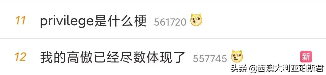 这个梗火爆全网？既然提到privilege，那就说说西澳人的高傲在哪