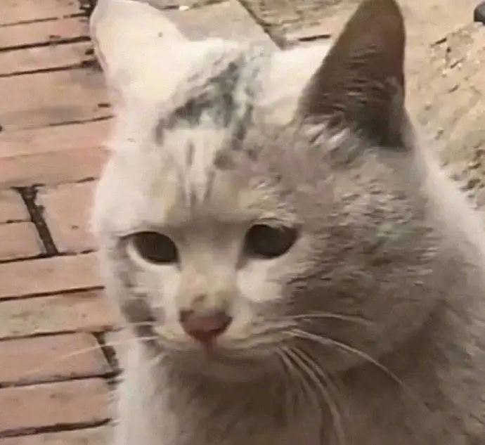 直播带货赚佣金容易的骗局,重磅爆料十大直播带货骗术