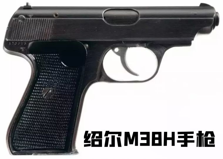 英国枪史图册全篇,德国枪图片