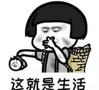 澳洲最新生效政策,澳洲新政什么时间宣布