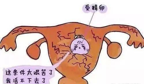 中医中药能使子宫内膜由薄变厚吗,中医治疗子宫内膜薄