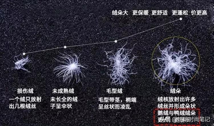 鸭绒或鹅绒充绒量多少暖和,是鸭绒服好还是鹅绒服好