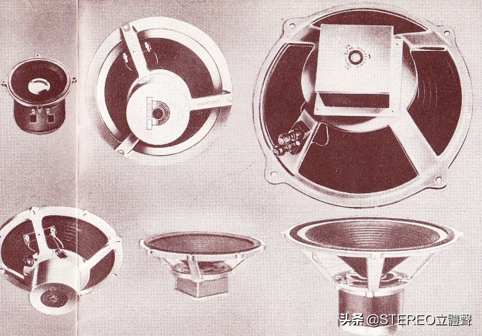 古董档案金铲铲,古董档案电视剧