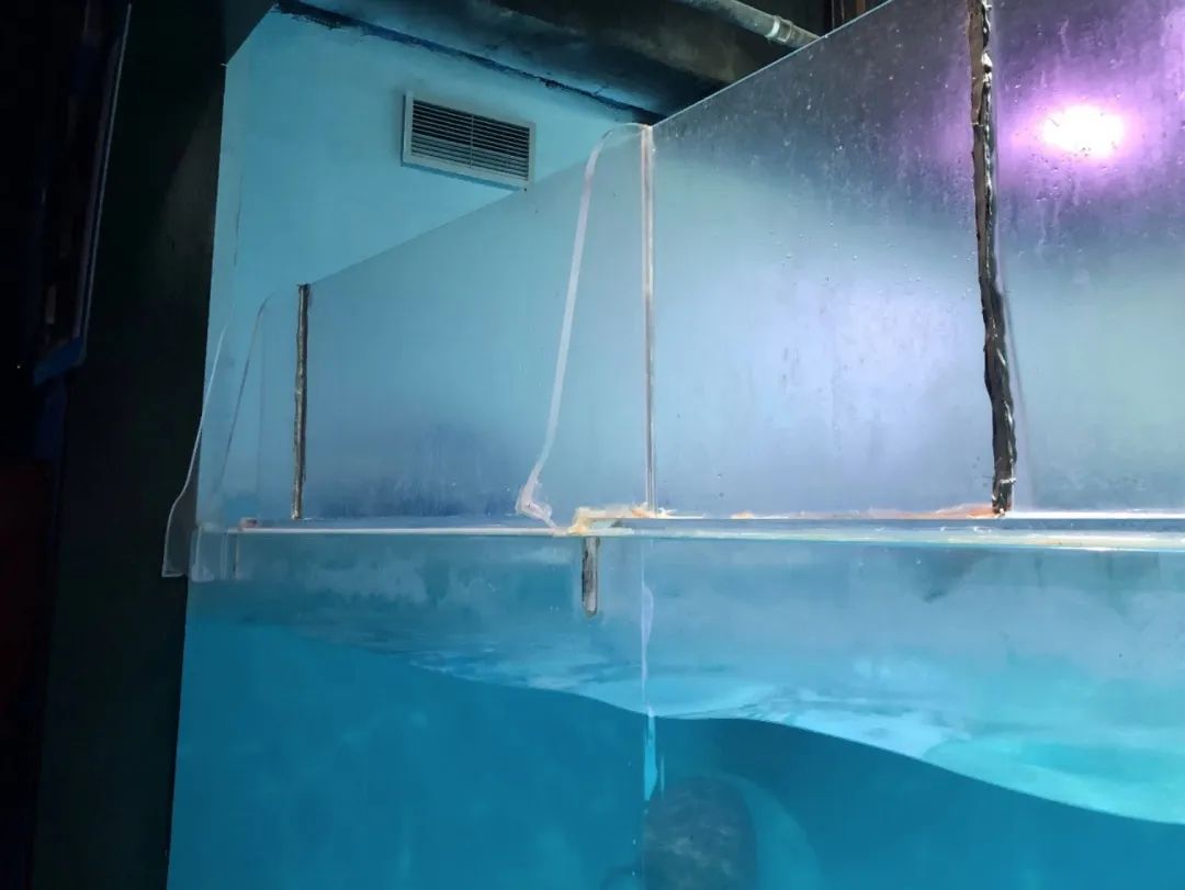 这样的动物园，大家都不要去