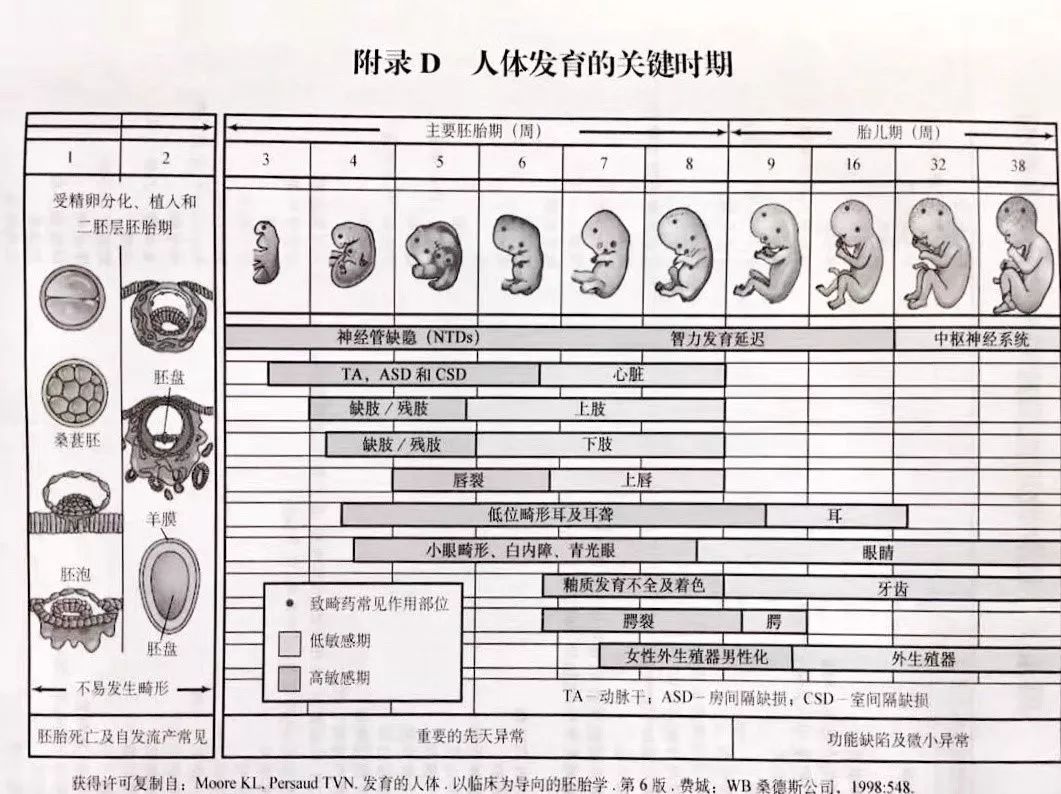 couldn'tconnecttohost